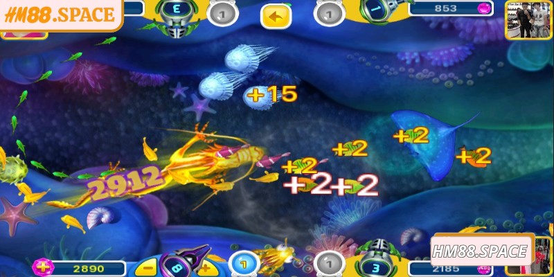 Theo dõi thói quen di chuyển của cá giúp tăng hiệu quả săn thưởng